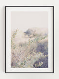 Bush Of Life Poster