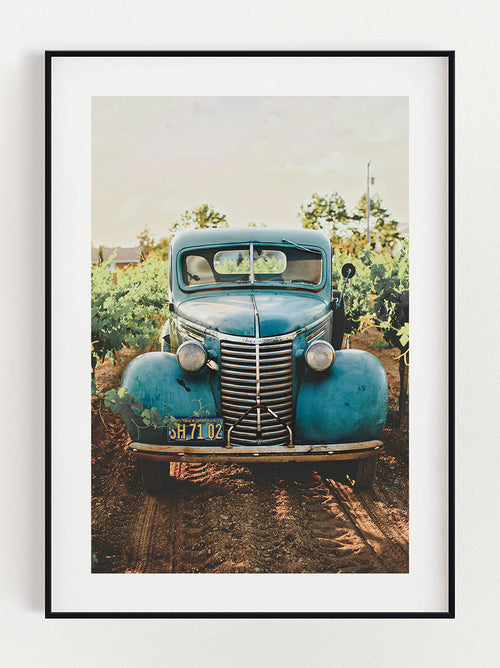 Car In The Vineyard poster