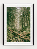 Greenery In The Woods Poster